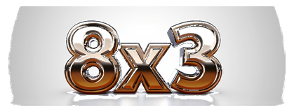 8x3 logo